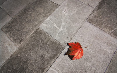 Conquer Fall’s Messy Side Effect: Leaf Stains on Your Concrete! (And Why DIY Might Not Be the Best Idea)